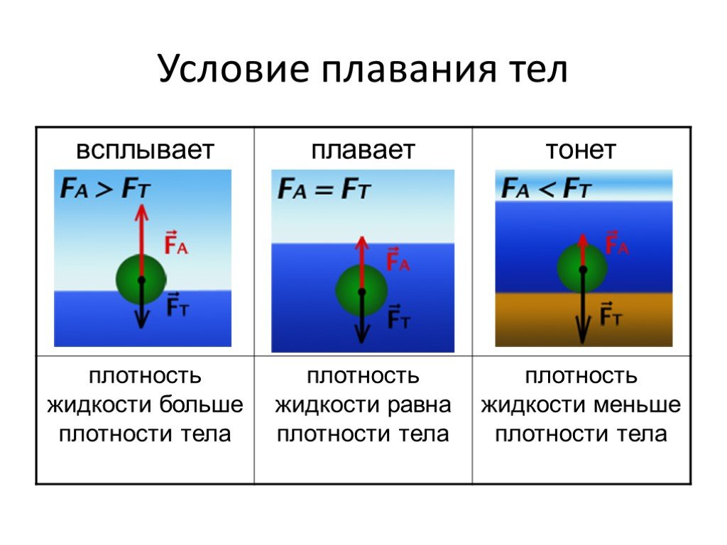 Презентация по физике 7 класс плавание тел