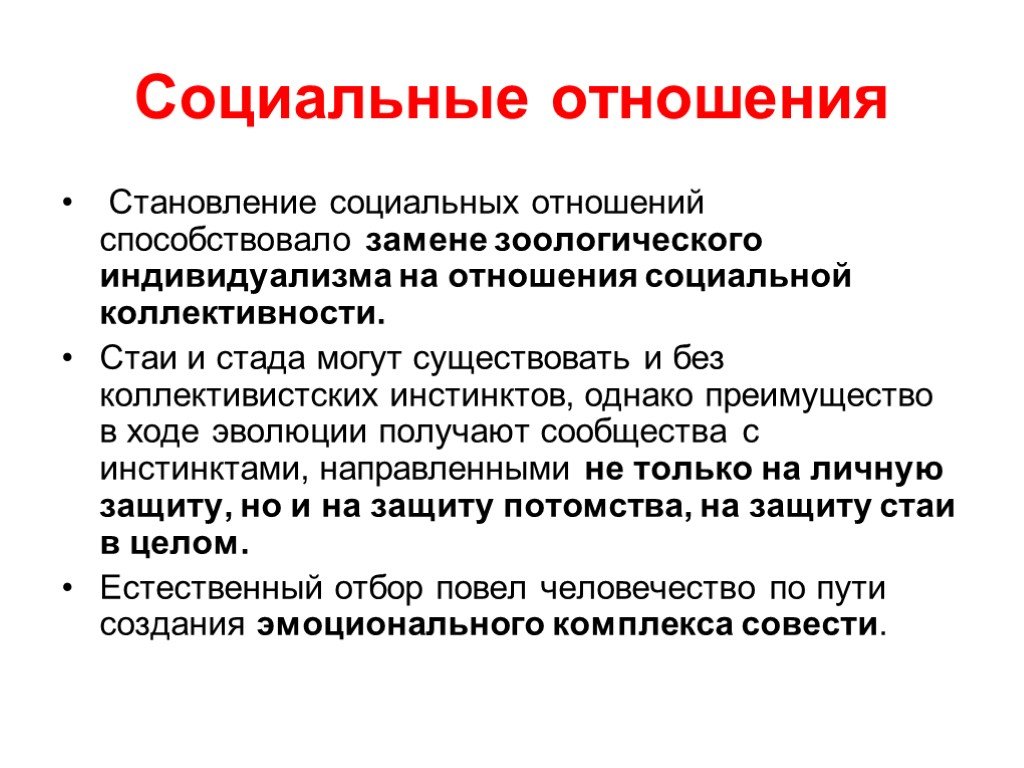 Формирование социальных отношений. Соц отношения. Сообщение о социальных отношениях. Становление социальных отношений кратко.