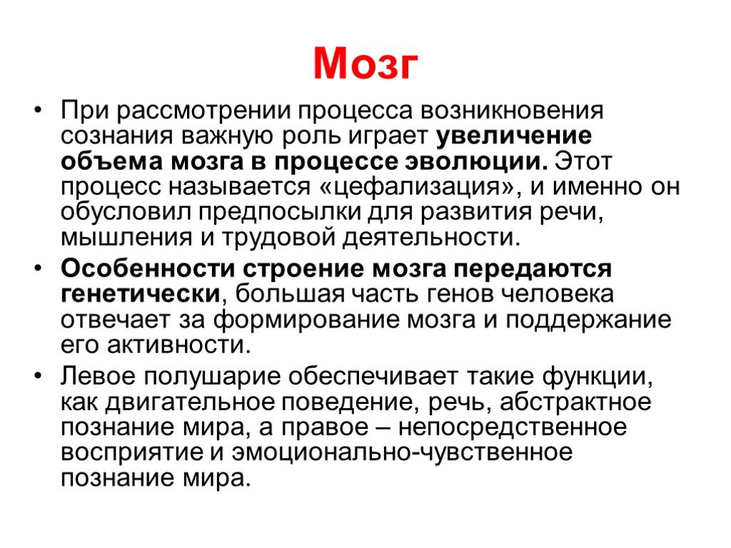 Цефализация. Какую роль играет в процессе познания мозг. Мозг человека роль мозга в познании. Увеличение объема мозга. Увеличение рост мозга это цефализация?.