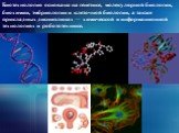 Биотехнология основана на генетике, молекулярной биологии, биохимии, эмбриологии и клеточной биологии, а также прикладных дисциплинах — химической и информационной технологиях и робототехнике.