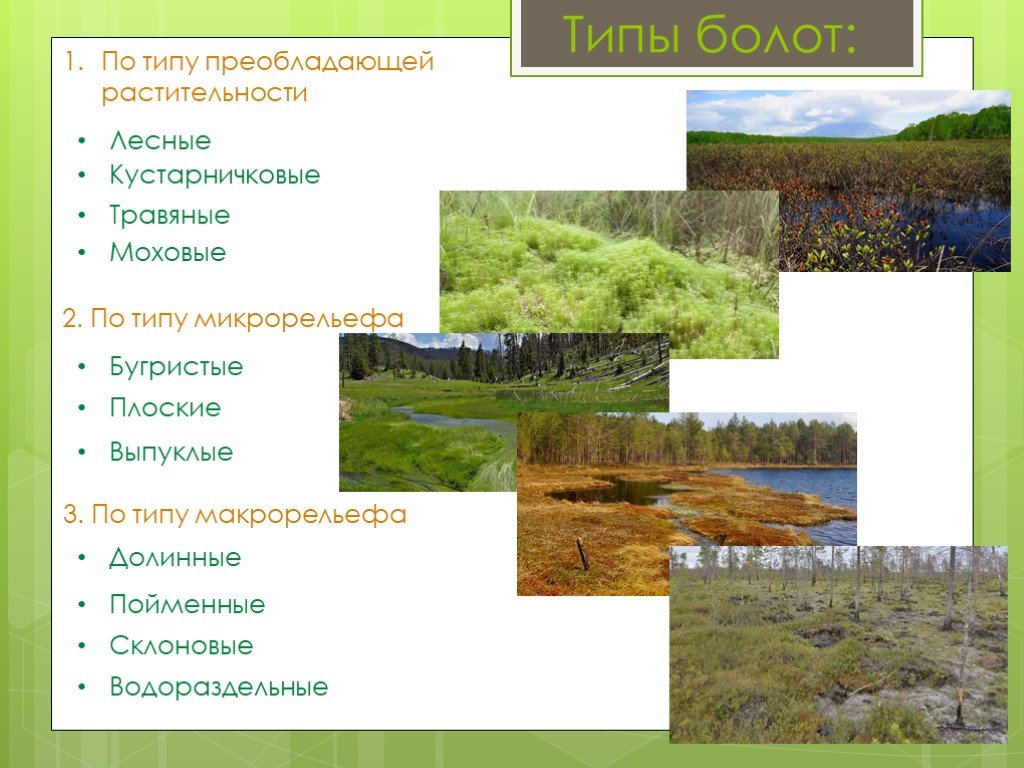 Составляющая болотной. Классификация болот по типам. Классификация болот по растительности. Болота по типу растительности. Видовая структура болота.