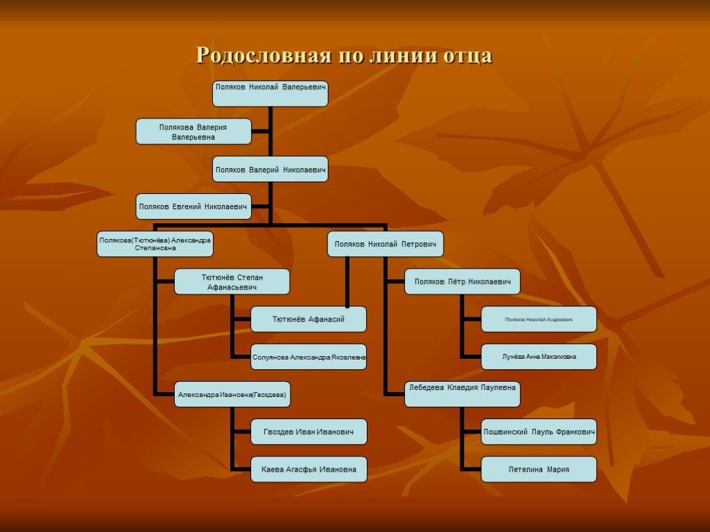 Линия отца. Родословная линия. Родословное дерево по линии отца. Генеалогическая линия. Родословная по отцу.