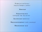 Корм, почва, вода (сибирская язва, бруцеллез) Дыхательные пути (оспа) Наружные покровы(лишай, чума, ящур) Невыявленные пути