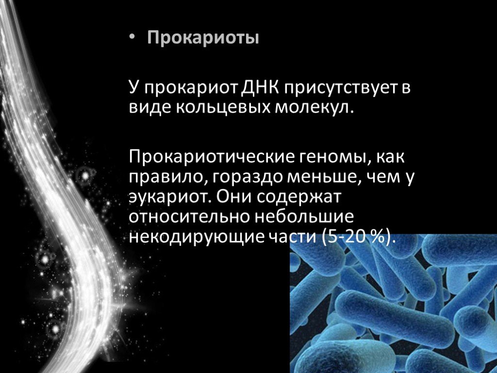 Геном человека презентация