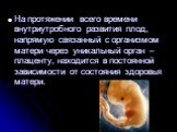 На протяжении всего времени внутриутробного развития плод, напрямую связанный с организмом матери через уникальный орган – плаценту, находится в постоянной зависимости от состояния здоровья матери.