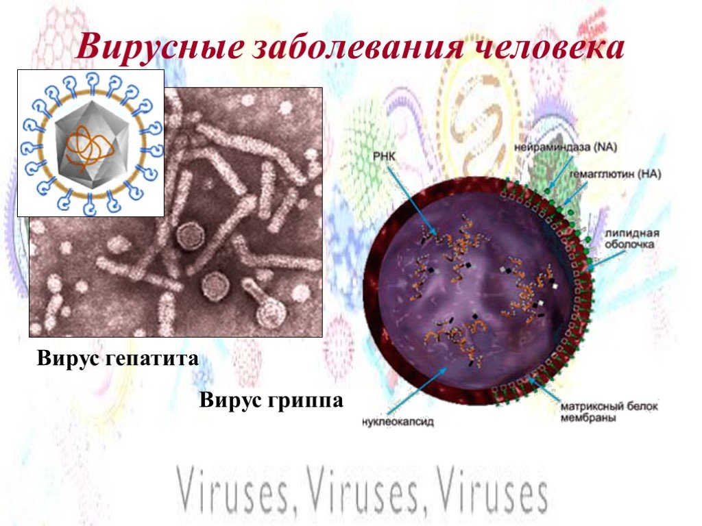 Вирусные заболевания 9 класс. Вирусные заболевания. Вирусные болезни человека. Вирусные заболевания рисунок. Картинки на тему вирусные заболевания.
