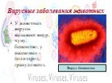 Вирусные заболевания животных. У животных вирусы вызывают ящур, чуму, бешенство; у насекомых - полиэдроз, грануломатоз. Вирус бешенства