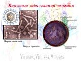 Вирус гепатита Вирус гриппа