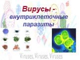 Вирусы - внутриклеточные паразиты