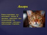 Гипоаллергенный кот, названного Ашера. В организм животного был введен некий ген, позволявший «обходить заболевания стороной». Ашера