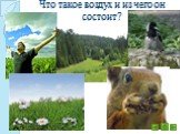 Воздух – условие жизни на Земле Слайд: 8