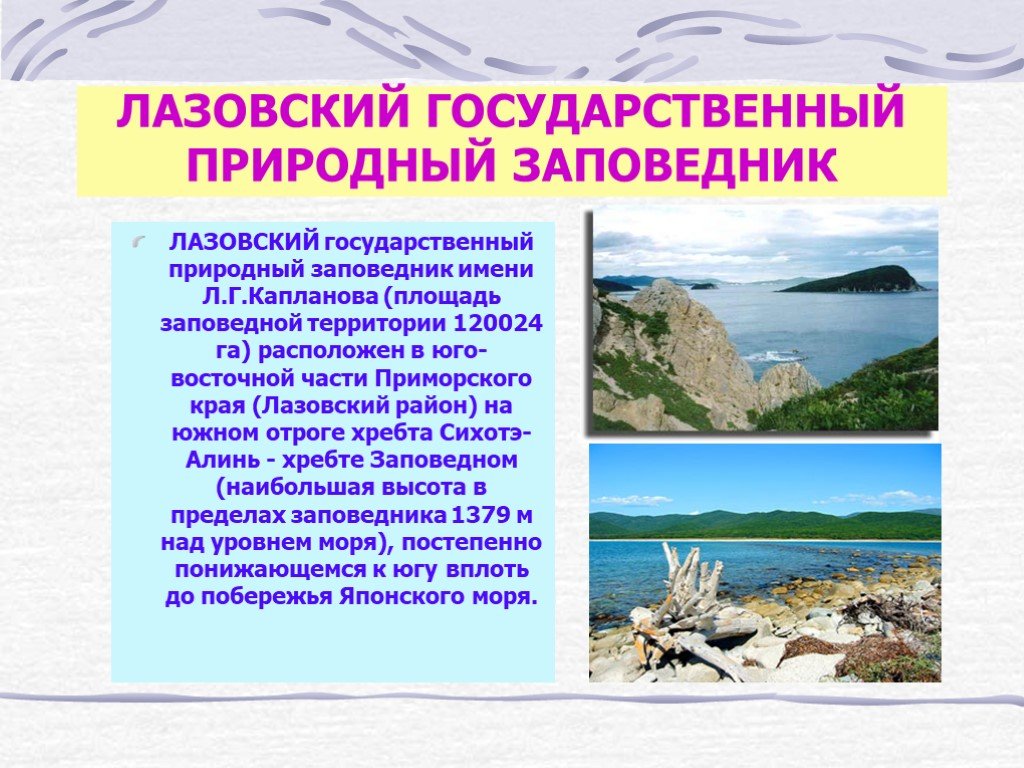 Какие заповедники на территории приморского края. Лазовский государственный природный заповедник. Лазовском заповеднике имени л.г.Капланова. Лазовский государственный заповедник проект. Заповедники Приморья презентация.