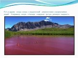 Есть и другие озера озера с окрашенной химическими соединениями водой. Например, озеро в Канаде содержит густую розовую жидкость.