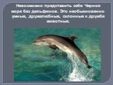 Невозможно представить себе Черное море без дельфинов. Это необыкновенно умные, дружелюбные, склонные к дружбе животные.