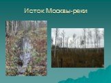 Исток Москвы-реки