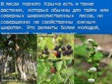 В лесах горного Крыма есть и такие растения, которые обычны для тайги или северных широколиственных лесов, но совершенно не свойственны южным широтам. Это реликты более молодой, ледниковой эпохи. Например: