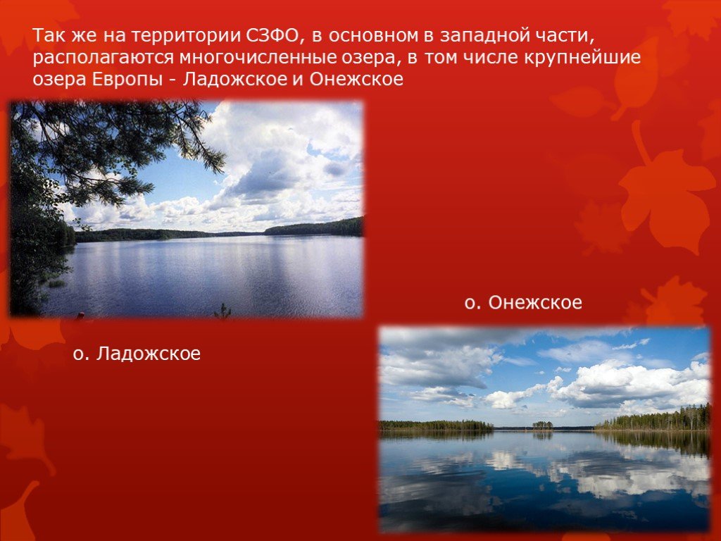 Презентация СЗФО. Крупные озера Северо Запада. Самое крупное озеро Европы Онежское. Озера европейской части России.