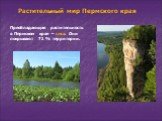Растительный мир Пермского края. Преобладающая растительность в Пермском крае – леса. Они покрывают 71 % территории.