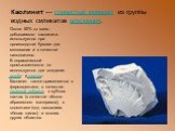 Каолинит — глинистый минерал из группы водных силикатов алюминия. Около 50% от всего добываемого каолинита используется при производстве бумаги для мелования и в качестве наполнителя. В керамической промышленности он используется для создания ангоба и глазури. Каолинит также применяется в фармацевти