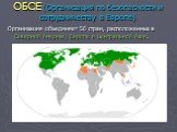 ОБСЕ (Организация по безопасности и сотрудничеству в Европе). Организация объединяет 56 стран, расположенных в Северной Америке, Европе и Центральной Азии.