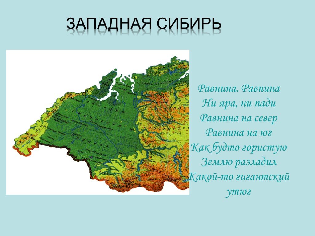Какая природная зона отсутствует в западной сибири. Западная Сибирь. Равнины Западной Сибири. Западный. Западносибирскаяя равнина.