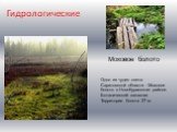 Гидрологические. Одно из чудес света Саратовской области - Моховое болото в Новобурасском районе. Ботанический заказник Территория болота 27 га. Моховое болото