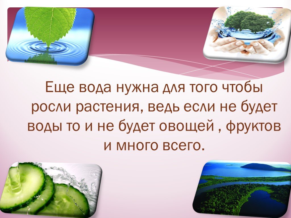 В овощах есть вода