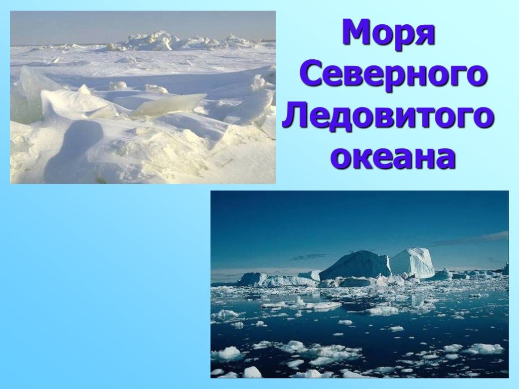 Ледовитый океан температура воздуха. Моря Северного Ледовитого океана. Моря Северного Ледовитого океана России. Проект моря Северного Ледовитого океана. Моря и реки Северного Ледовитого океана.