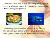 They consume a lot of fish - including native species such as shpeper (tastes like pike perch), barracuda - with a pretty tough meat. Interesting the Australian method to fry fish: on the embers put a thick layer of grass, than fish, then again a layer of grass and cover it hot coals.