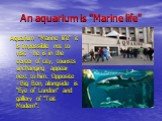 An aquarium is "Marine life". Aquarium "Marine life" it is impossible not to visit - he is in the center of city, tourists unchanging appear next to him. Opposite - Big Ben, alongside is "Eye of London" and gallery of "Teit Modern".