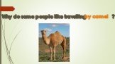 by camel