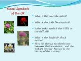 Floral Symbols of the UK. What is the Scottish symbol? What is the Irish floral symbol? Is the Welsh symbol the LEEK or the daffodil? What is the England’s floral symbol? How did the war for the throne between the Lancastrians and the Yolkiest become Known in the history of the country?