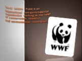 World Wildlife Fund is an international non-governmental organization working in the fields of conservation, research and environmental restoration.