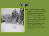 Taiga - a huge, wild and hard traveled by the forest, which grows mainly coniferous trees. The word taiga means "dense forest".Taiga - the oldest and the most snow of the nature of Russia. Its width in the European part reaches 800 km, and in Western and Eastern Siberia - 2150 km.