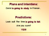 Plans and Intentions: Carol is going to study in France . Predictions: Look out! The tree is going to fall. Are you sure? YES!