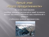 Пятый этап «Плато продуктивности». На пятом этапе массовое серийное производство изделий по новой технологии находит массовый устойчивый спрос потребителей и приносит стабильную прибыль производителям.