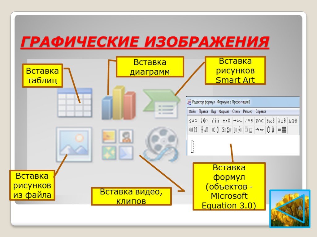 Текстовой документ содержащий набор рисунков фотографий диаграмм