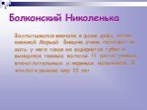 Болконский Николенька. Воспитывался вначале в доме деда, затем княжной Марьей. Внешне очень походит на мать: у него такая же вздернутая губка и вьющиеся темные волосы. Н. растет умным, впечатлительным и нервным мальчиком. В эпилоге романа ему 15 лет.