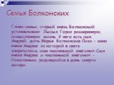 Семья Болконских. Глава семьи, старый князь Болконский устанавливает Лысых Горах размеренную, осмысленную жизнь. У него есть сын Андрей, дочь Марья. Болконская Лиза – жена князя Андрея за которой в свете закрепилось имя «маленькой княгини».Сын князя Андрея и «маленькой княгини» - Николенька, родивши