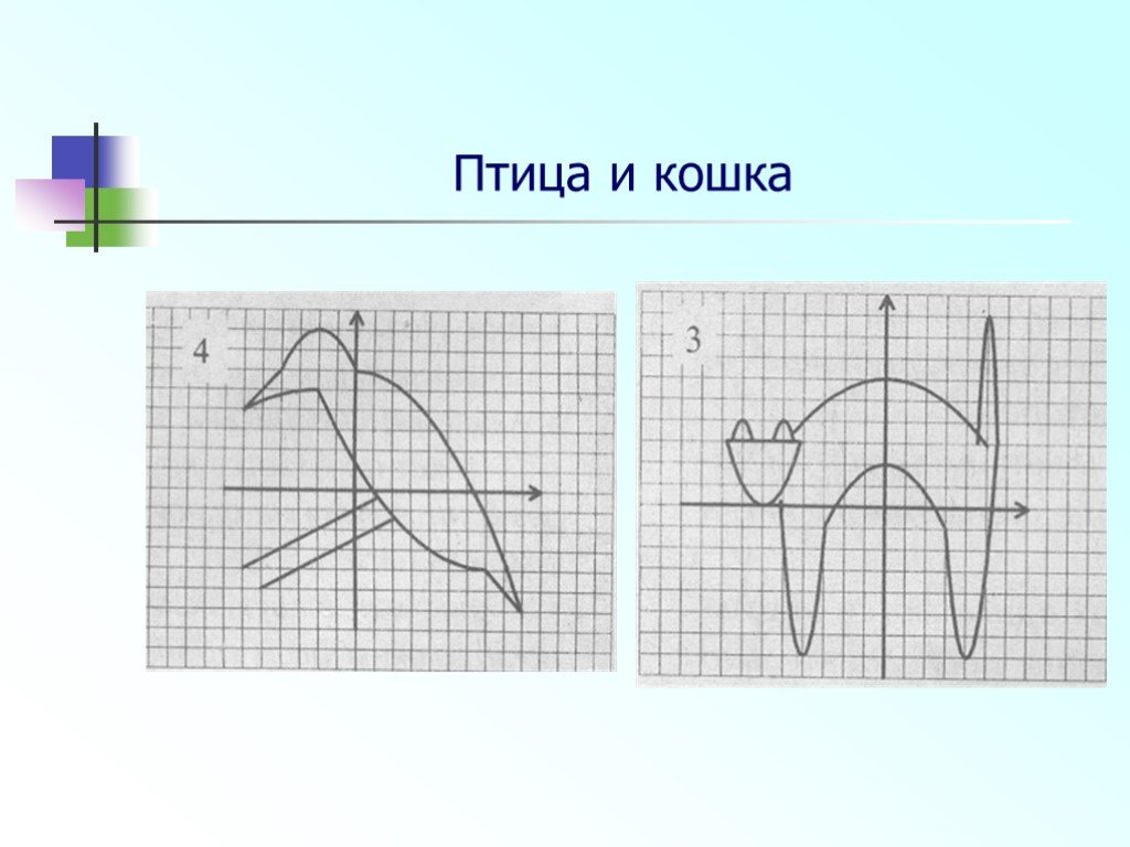 График функции картинка для презентации