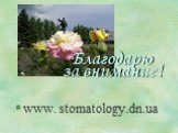 www. stomatology.dn.ua. Благодарю за внимание!
