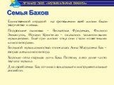 Единственной отрадой на протяжении всей жизни были творчество и семья. Подросшие сыновья – Вильгельм Фридеман, Филипп Эммануэль, Иоганн Кристиан – оказались талантливыми музыкантами. Ещё при жизни отца они стали известными композиторами. Большой музыкальностью отличалась Анна Магдалена Бах – вторая 