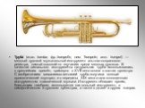 Труба́ (итал. tromba, фр. trompette, нем. Trompete, англ. trumpet) — медный духовой музыкальный инструмент альтово-сопранового регистра, самый высокий по звучанию среди медных духовых. В качестве сигнального инструмента натуральная труба использовалась с древнейших времён, примерно с XVII века вошла