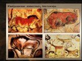 Изображения животных, Альтамира