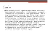 Смерч. Смерч представляет собой вертикальный или слегка наклоненный крутящийся столб в воздухе, который зарождается под грозовой тучей и поднимает с земли все, что встречает на своем пути. Когда смерч только образуется, можно заметить темную вращающуюся воронку, затем наступает на какое-то время тиш