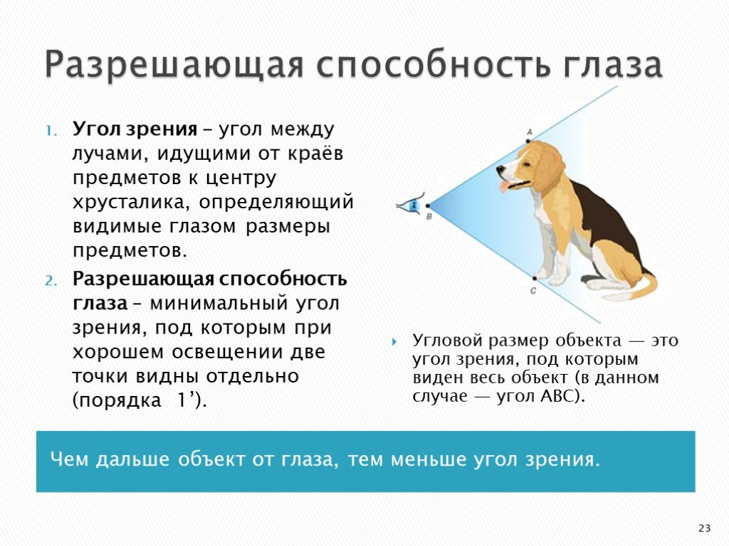 Угол зрения равен. Разрешающая способность глаза. Минимальный угол зрения.