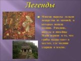 Многие народы делали лекарства из камней, в которые попала молния. Римляне, индусы и индейцы Майя верили в то, что грибы вырастают в местах, где молния ударила в землю.