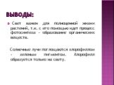 Выводы: Свет важен для полноценной жизни растений, т.к. с его помощью идет процесс фотосинтеза - образование органических веществ. Солнечные лучи поглощаются хлорофиллом - зеленым пигментом. Хлорофилл образуется только на свету.