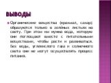 выводы. Органические вещества (крахмал, сахар) образуются только в зелёных листьях на свету. При этом им нужна вода, которую они поглощают вместе с питательными веществами, чтобы расти и развиваться. Без воды, углекислого газа и солнечного света они не могут осуществлять процесс питания.