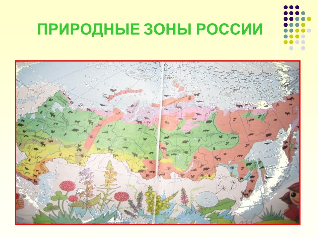 Подготовка к природным зонам. Карта природных зон России 4 класс окружающий мир. Карта России природные зоны России 4 класс окружающий мир. Схема карта природных зон России 4 класс окружающий мир.